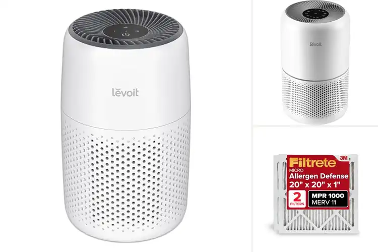 Detailed view of 10 Best Air Filters for Allergies: Breathe Easy, Sneezes