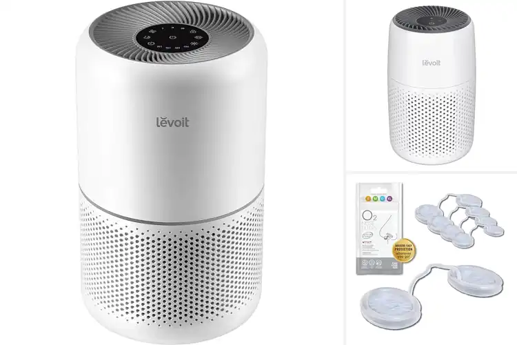 Detailed view of 10 Best Allergy Filters: Breathe Easy Now