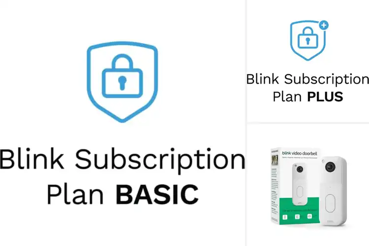 Detailed view of 4 Best Blink Monthly Plans: Secure Your Home Easily