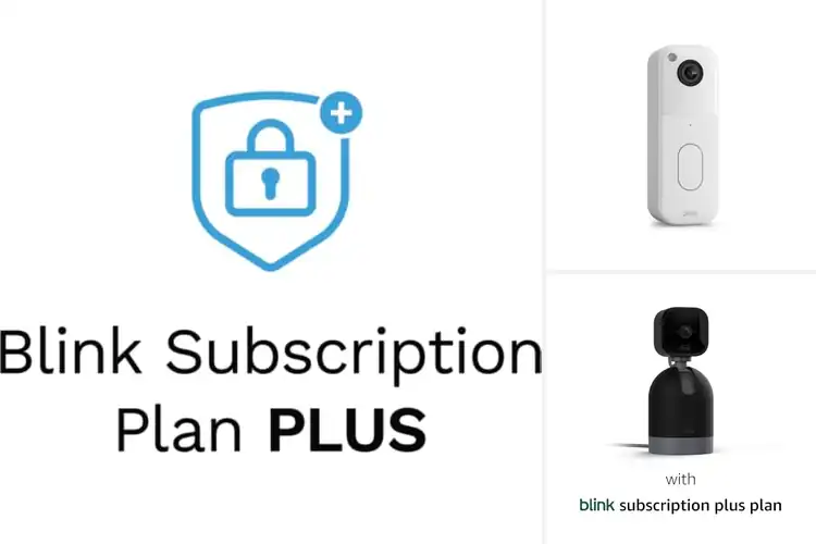 Detailed view of 8 Best Blink Plus Plans: Secure Your Home Now