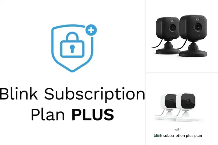 Detailed view of 5 Best Blink Plus Subscriptions For Auto Renewals: Top