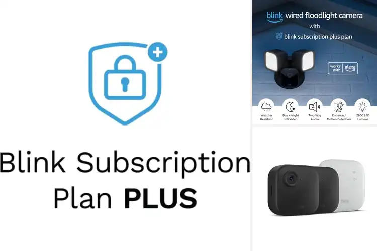 Detailed view of 8 Best Blink Plus Subscriptions for Ultimate Home Security