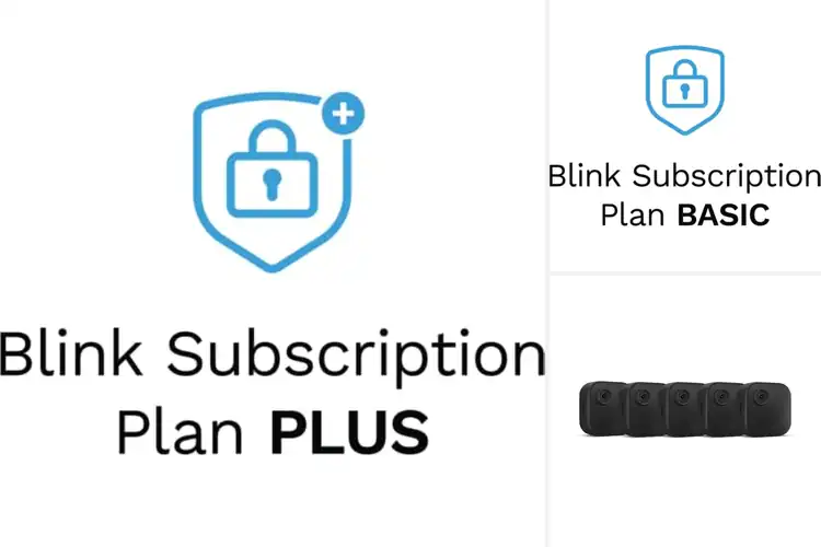Detailed view of 8 Best Blink Subscription Plans for Secure Homes