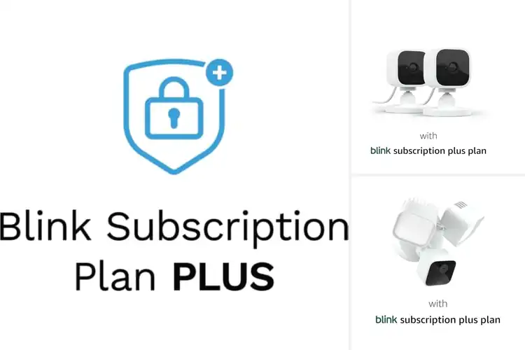 Detailed view of 3 Best Blink Subscriptions For Auto Renewals That Save Time