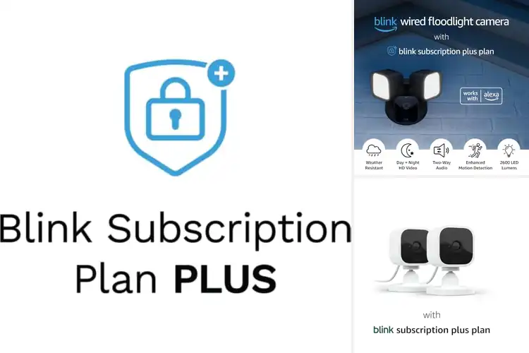 Detailed view of 10 Best Blink Subscriptions for Ultimate Home Security Today