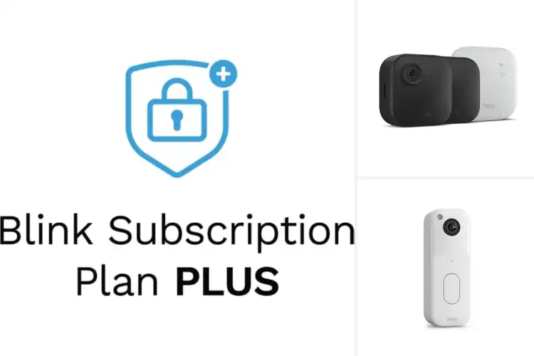 Detailed view of 5 Best Blink Subscriptions With Auto Renewals: Top Picks