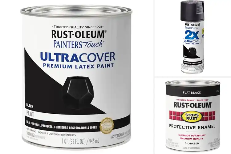 Detailed view of 10 Best Flat Black Paint: Tips for Perfect Projects