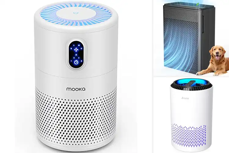 Detailed view of 10 Best Pet Dander Air Filters That Actually Work