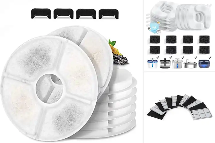 Detailed view of 10 Best Pet Filters: Keep Your Dog Happy & Healthy