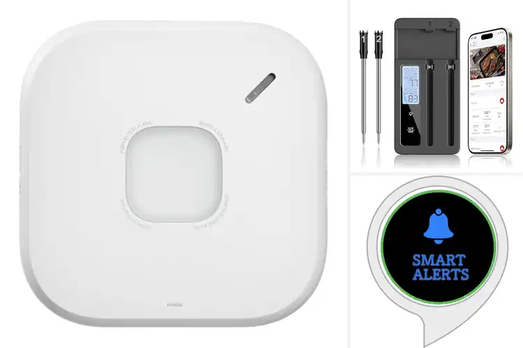 Detailed view of 10 Best Smart Alerts: Safeguard Your Home Now