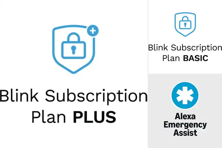 Detailed view of 10 Best Subscription Services: Your Ultimate Guide